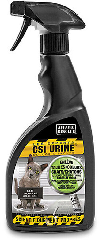 Comment enlever l'odeur d'urine de chat – SensSwing