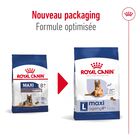 Royal Canin - Croquettes Maxi Ageing 8+ pour Chien Senior - 15Kg image number null