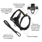 Kurgo - Harnais de Sécurité "Smart" Noir pour Chiens - S image number null