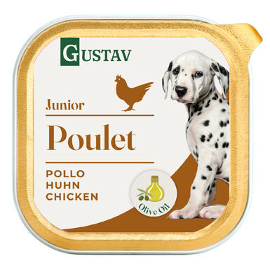 Gustav - Pâtée Junior au Poulet pour Chiots - 150g