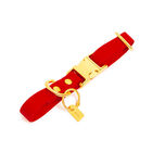 Pop Dog - Collier Diablotin Rouge pour Chien - S image number null