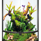 Repto - Terrarium Terra Half-moon - 56x28x64cm image number null