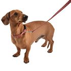 Bobby - Laisse Pretty Brique L pour Chiens - 100/2,5cm image number null