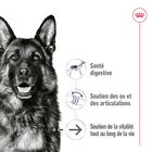 Royal Canin - Pâtée en Mousse Maxi Adult Ageing L - 410g image number null