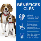 Hill's Science Plan - Puppy & Mother - Mousse Pour Chiot Et Chienne Allaitante Au Poulet  - 200g image number null