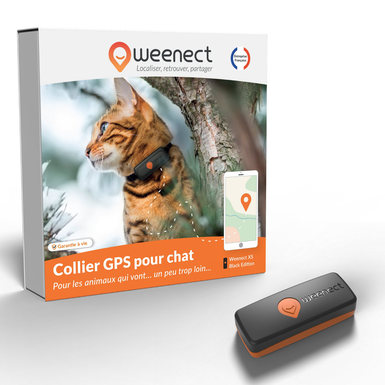 Weenect - Traceur GPS Noir Edition 2023 pour Chats - XS