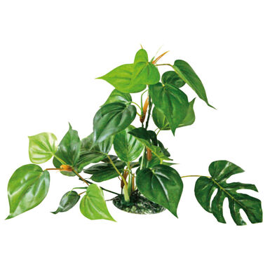 Amtra - Décoration Plant Replica Anubias - 30cm