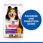 Hill's Science Plan - Adult Sensitive Stomach & Skin Croquettes Pour Chien Au Poulet  - 12kg image number null