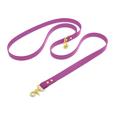 Pop Dog - Laisse Bandoulière Précieux Violet pour Chien - M/L