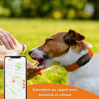 Weenect - Traceur GPS Noir Edition 2023 pour Chiens - L/XL image number null