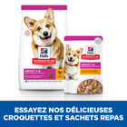 Hill’s Science Plan - Mijoté Pour Chien Adulte Small & Mini Au Poulet Et Légumes Ajoutés  - 12x80g image number null