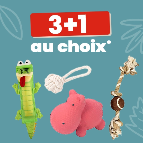 3+1 au choix