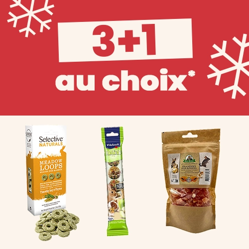 3+1 au choix