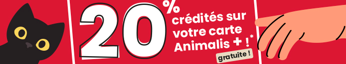 Bannière promotionnelle