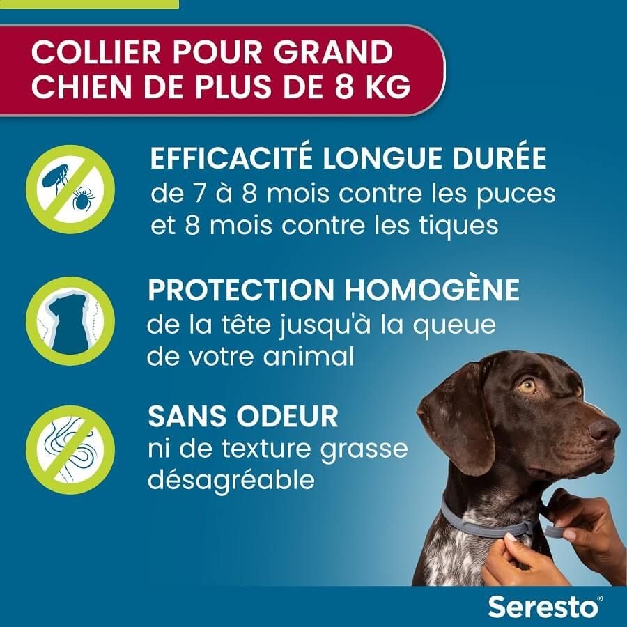 Elanco - Collier Seresto Antiparasitaires pour Grand Chien